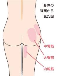 ピーマン尻とは？おしりの形の種類からわかる老化状況 [ボディケア] All About